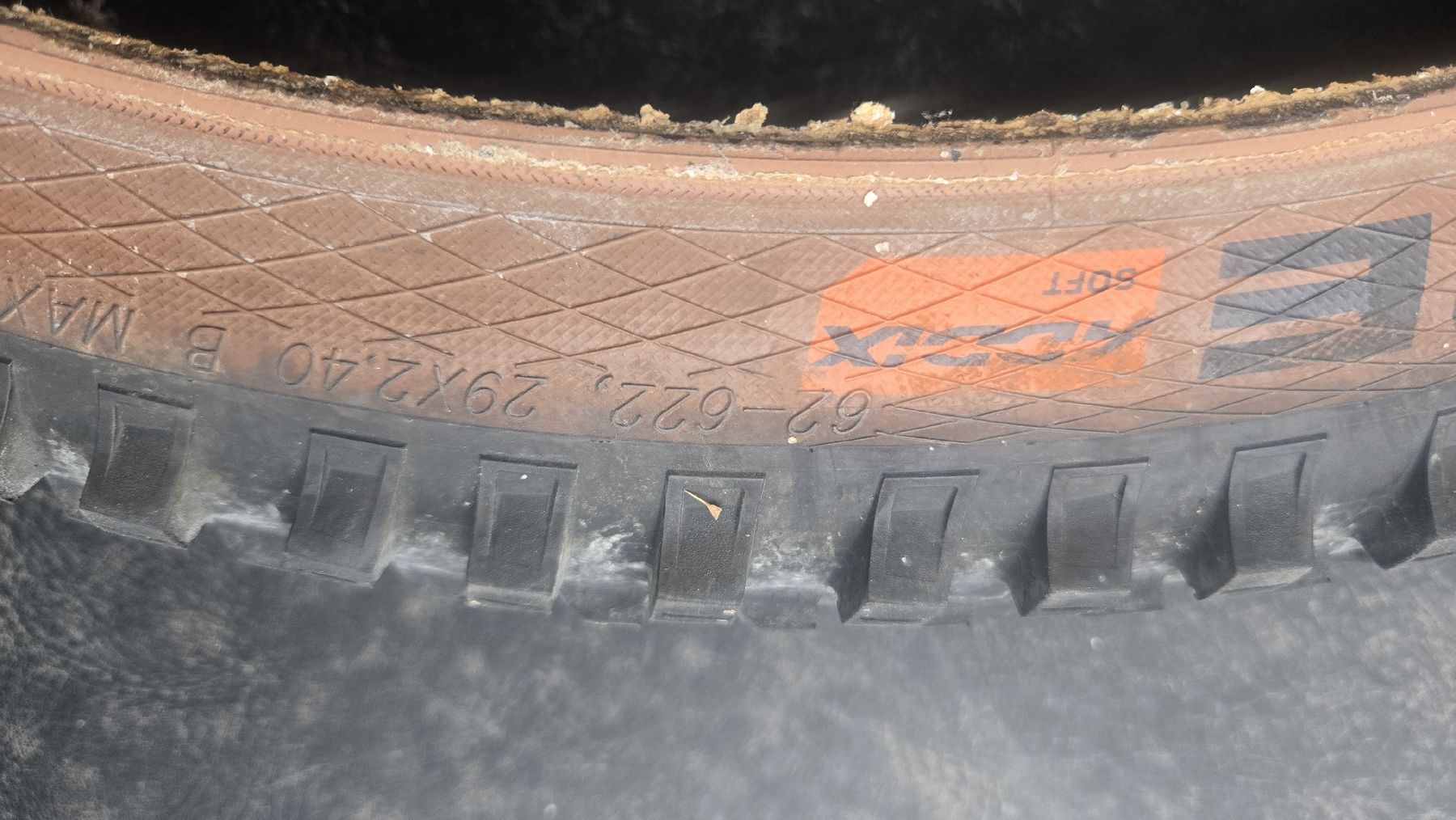 Schwalbe Pneumatici & Ruote complete: Schwalbe BIG BETTy & MAGIC MARY 29x2.4 – Usato da Flims Dorf venduto da skite 7