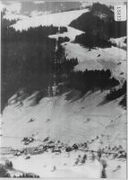 Flugaufnahme Oberholz-Wald - Skigebiet