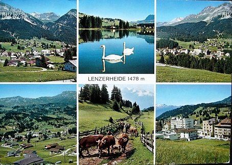 Ansichtskarten: 6-Bild-AK LENZERHEIDE Kühe – Gebraucht aus Jona von philajona