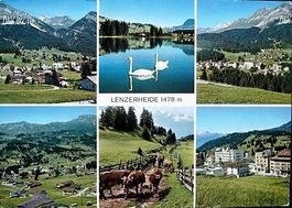 6-Bild-AK LENZERHEIDE Kühe