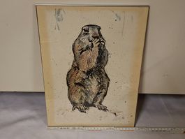 Original Lithographie "Murmeltier" Fritz Hug, EXPO 1964