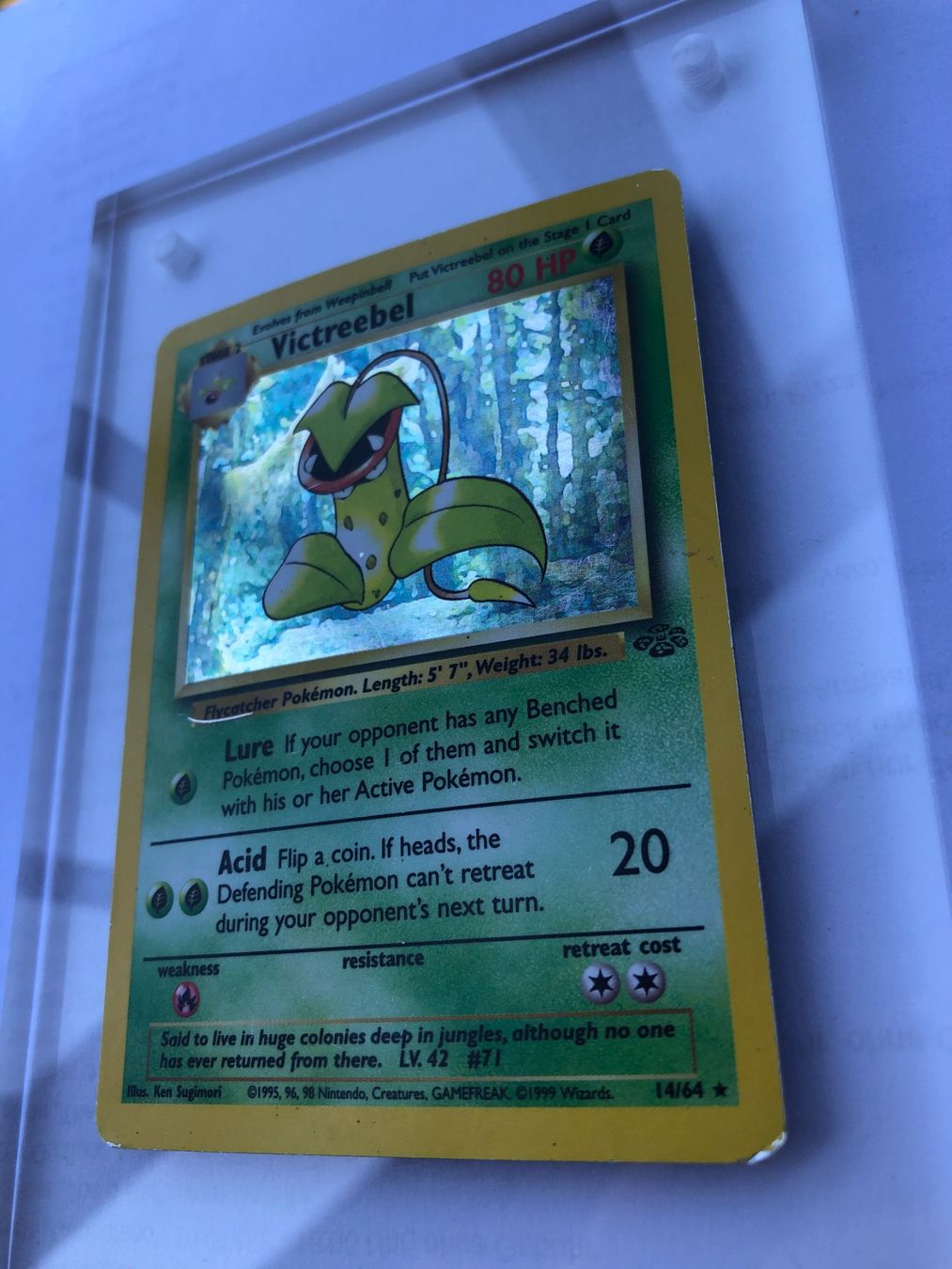 Carte collezionabili: Victreebel Holo Jungle - HP - ab 1.- – Usato da Giubiasco venduto da dan_pr8b 2