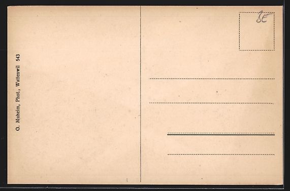 Cartoline postali: AK Toffen, Teilansicht mit Belpberg – Usato da Berlin venduto da bartko-reher 1