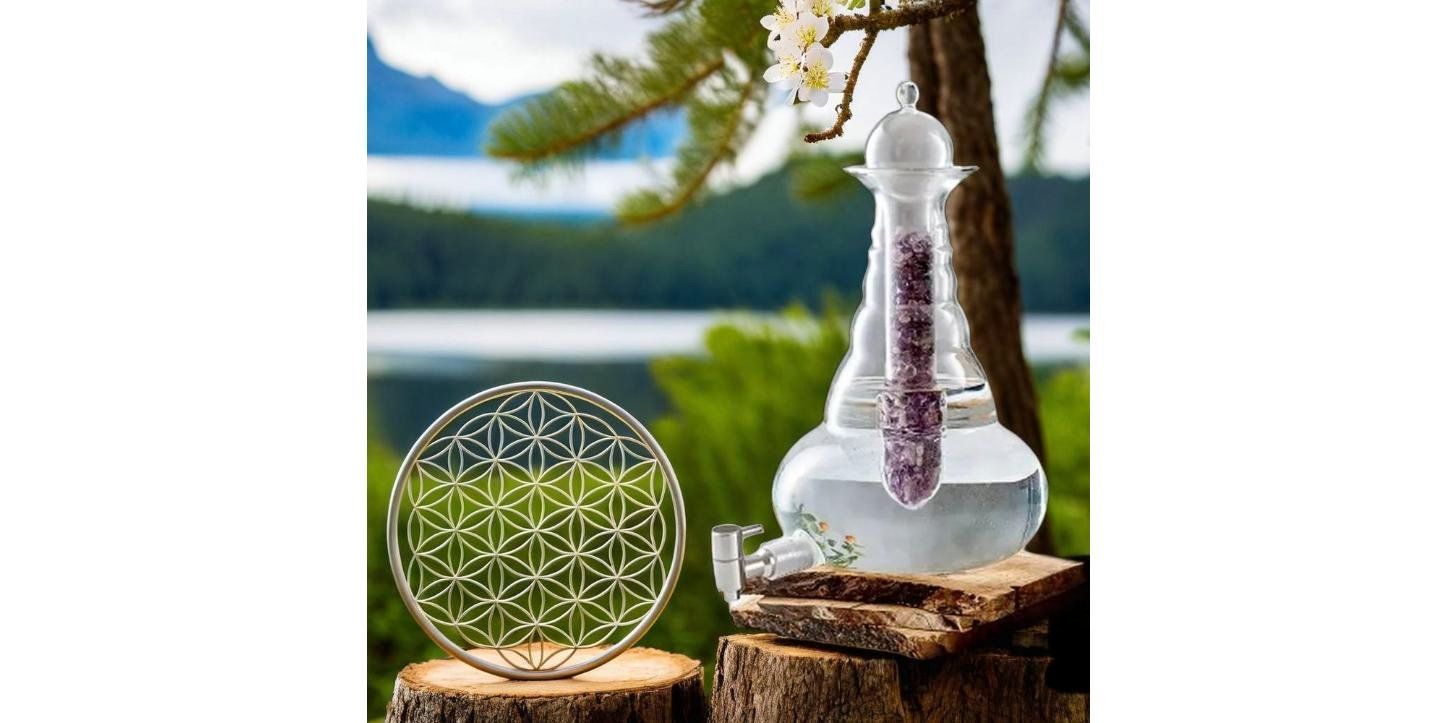 Caraffe: Carafe Beauty 5 L verre soufflé / Glaskaraffe – Nuovo e nell'imballaggio originale da Sion venduto da Colibri_bleu 2