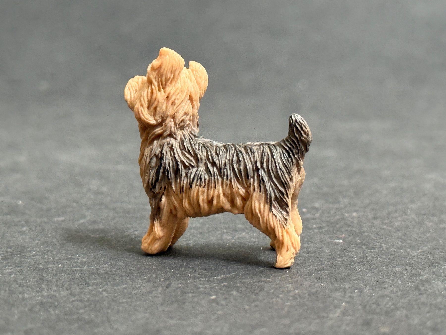 Schleich Statuette: Schleich 13876 Yorkshire Terrier Hund – Nuovo (secondo la descrizione) da Ennetbaden venduto da mapa05 4