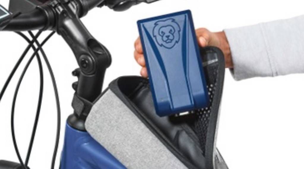 Chargeurs: LiON Smart Charger kompaktestes e-Bike Ladegerät – D'occasion à Schupfart par extrade_schupfart 2