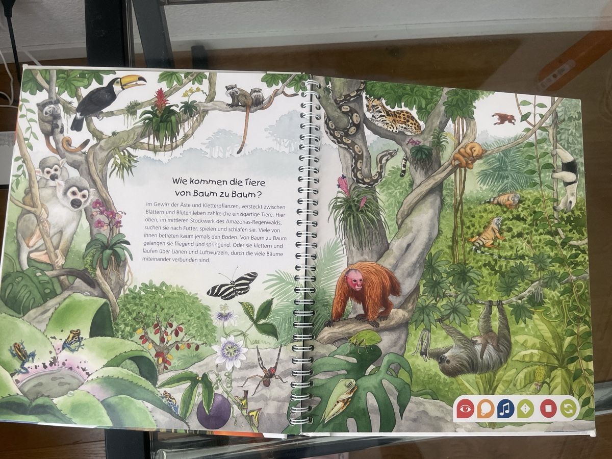 Libri: Tiptoi Buch: Entdecke den Regenwald - Lernsystem, Top! – Nuovo (secondo la descrizione) da Gerzensee venduto da Nach81 1