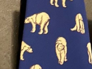 Fabric Frontline Cravatte: Krawatte blau mit Eisbären – Usato da Zumikon venduto da Uranus88