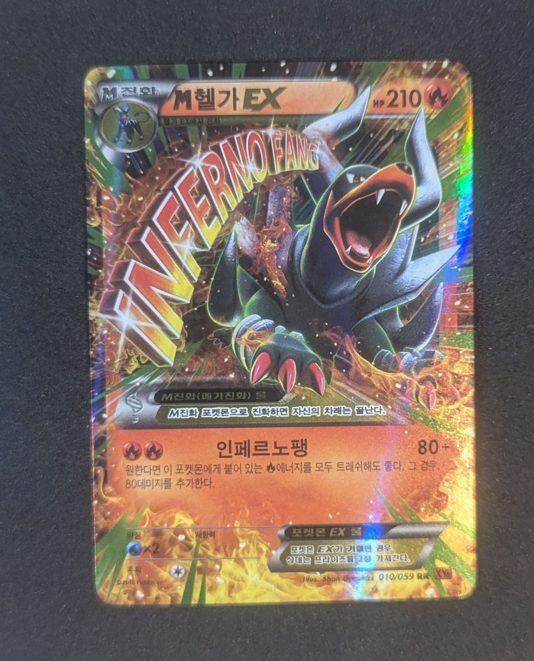 Pokémon Carte collezionabili: MHoundoom EX 10/59 KOR – Usato da Zürich venduto da printz7