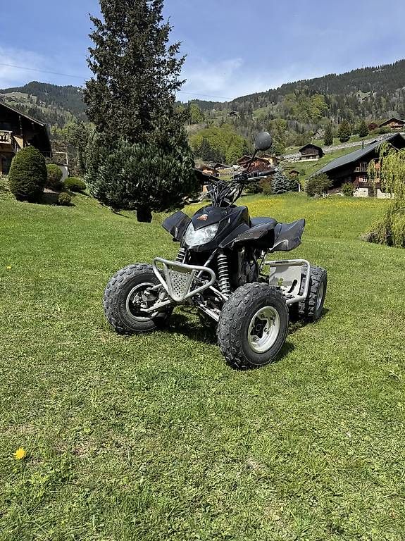 ATV / Quad: Quad arctic cat dvx400 – Usato da Val-d'Illiez venduto da Joackim 2