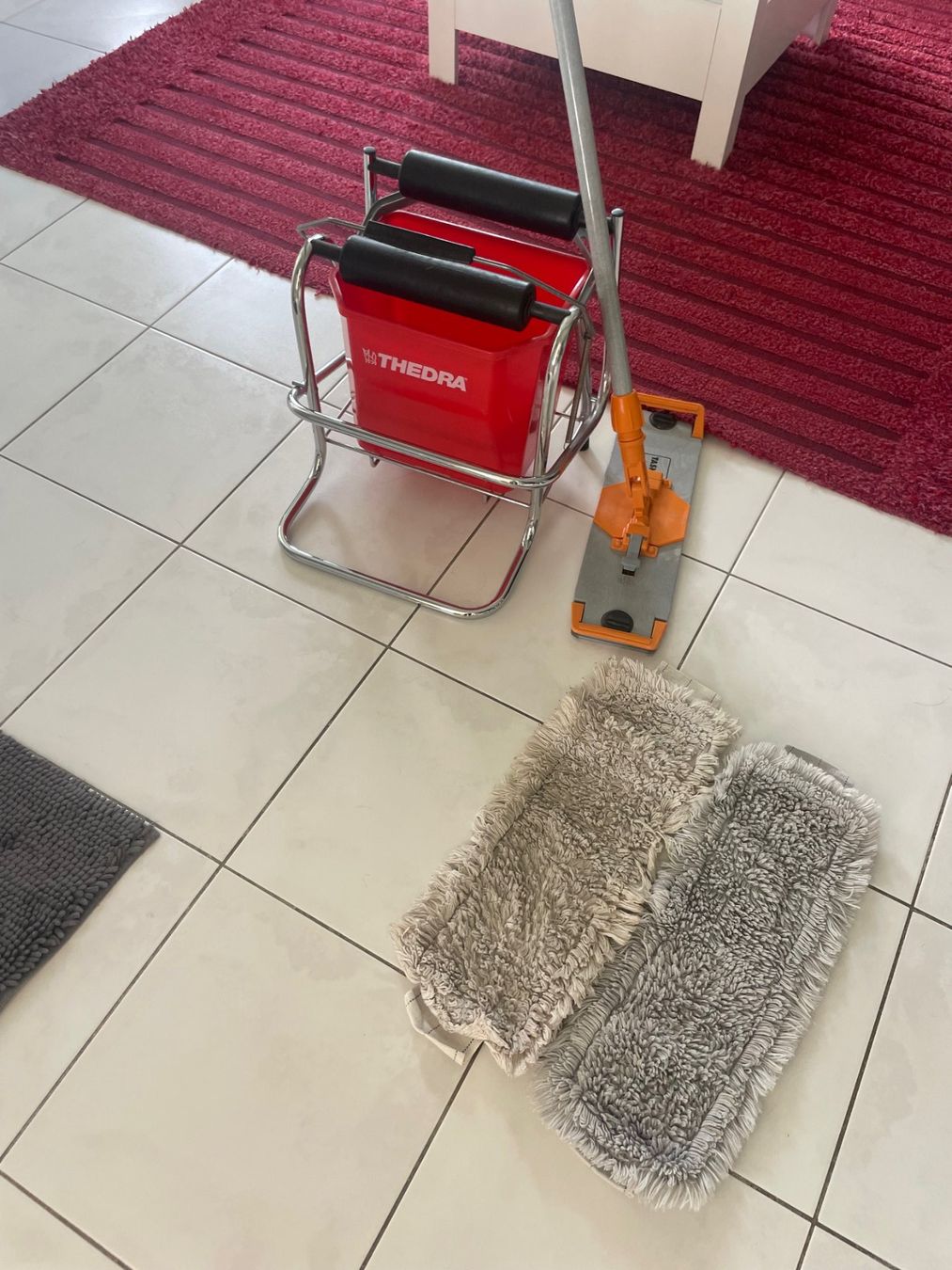 Sonstiges für Haushalt & Wohnen: Profi Reinigung mit Pressrollen und Wisch Mop Taski – Gebraucht aus Kaltbrunn von Mamo6676laja