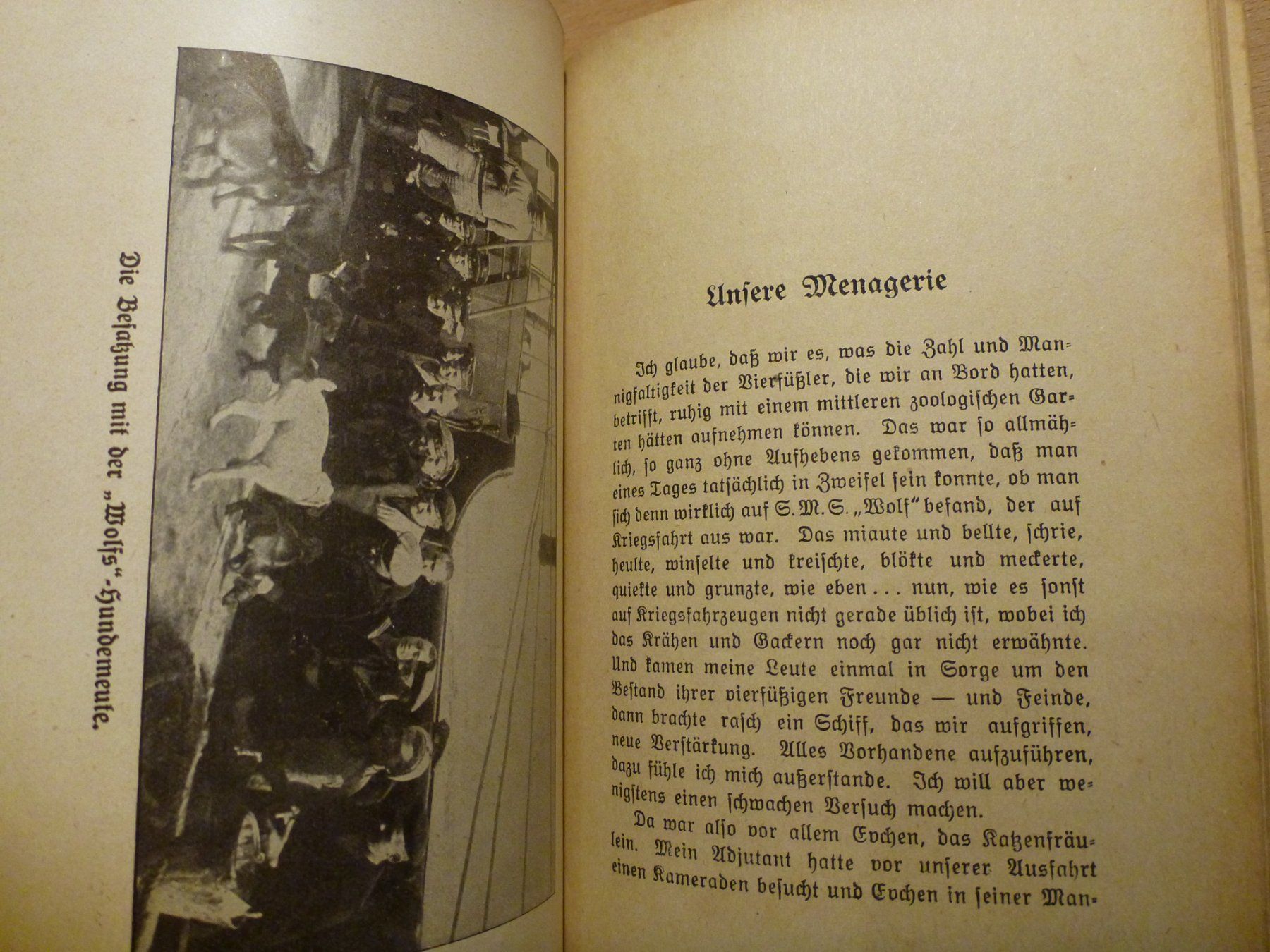 Bücher: SMS WOLF – Gebraucht aus Eschen von Nerger1918 4