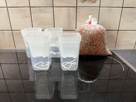 4 Selbstbewässerungstöpfe + 1kg Lechuza PON/Seramis Mischung