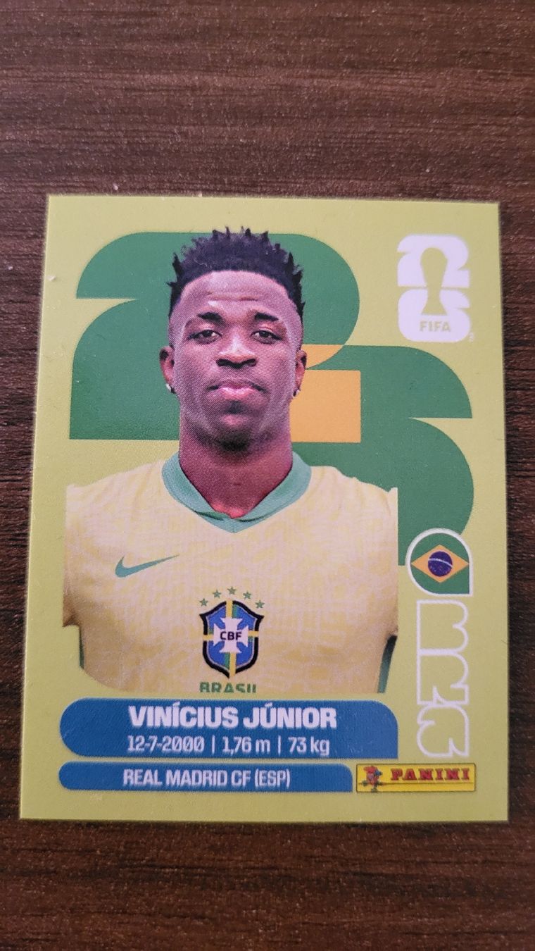Panini Carte collezionabili: Panini Bild WM 26 von Vinicius JR – Nuovo e nell'imballaggio originale da Dürnten venduto da Mde