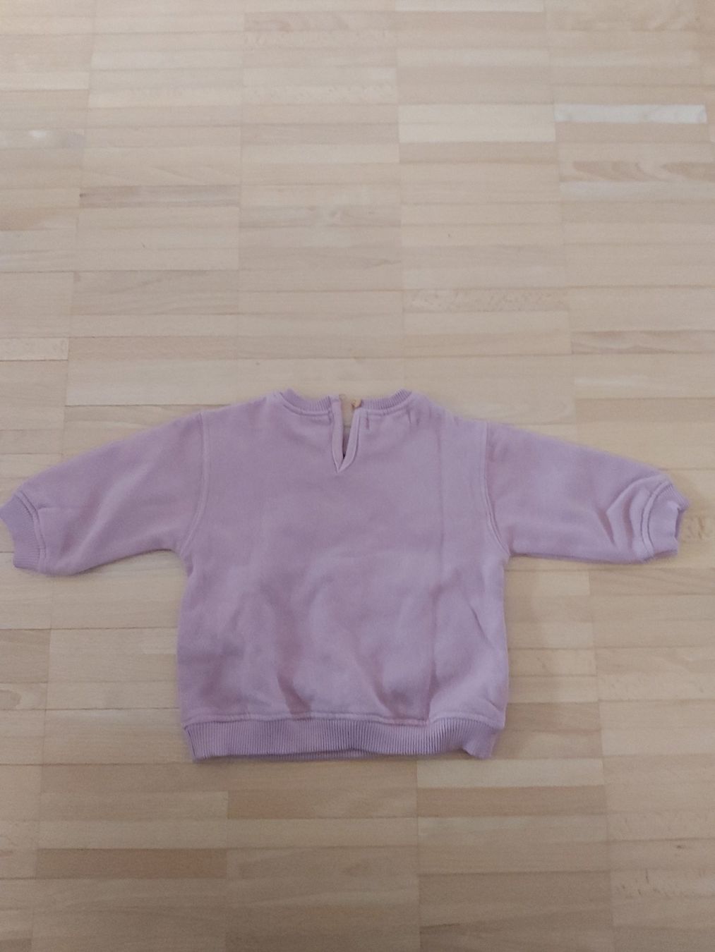 Zara Maglioni & Felpe: Zara Sweatshirt Grösse 68 neu – Nuovo (secondo la descrizione) da Frauenfeld venduto da mariom02 1
