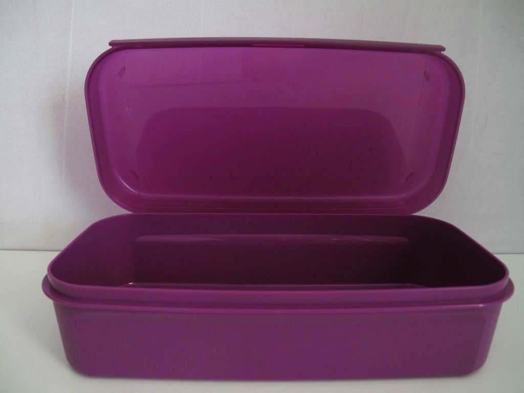 Tupperware Contenitori & Simili: Frischetresor - Tupperware – Nuovo (secondo la descrizione) da Winkel venduto da davos220