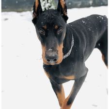 Profile image of andi01