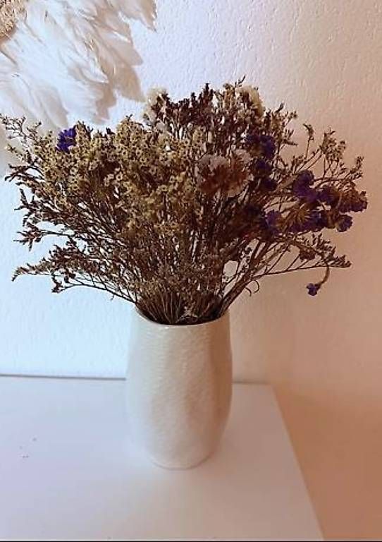 Vasi & Recipienti: Vase mit Inhalt – Usato da Gossau SG venduto da cuk_fyc6