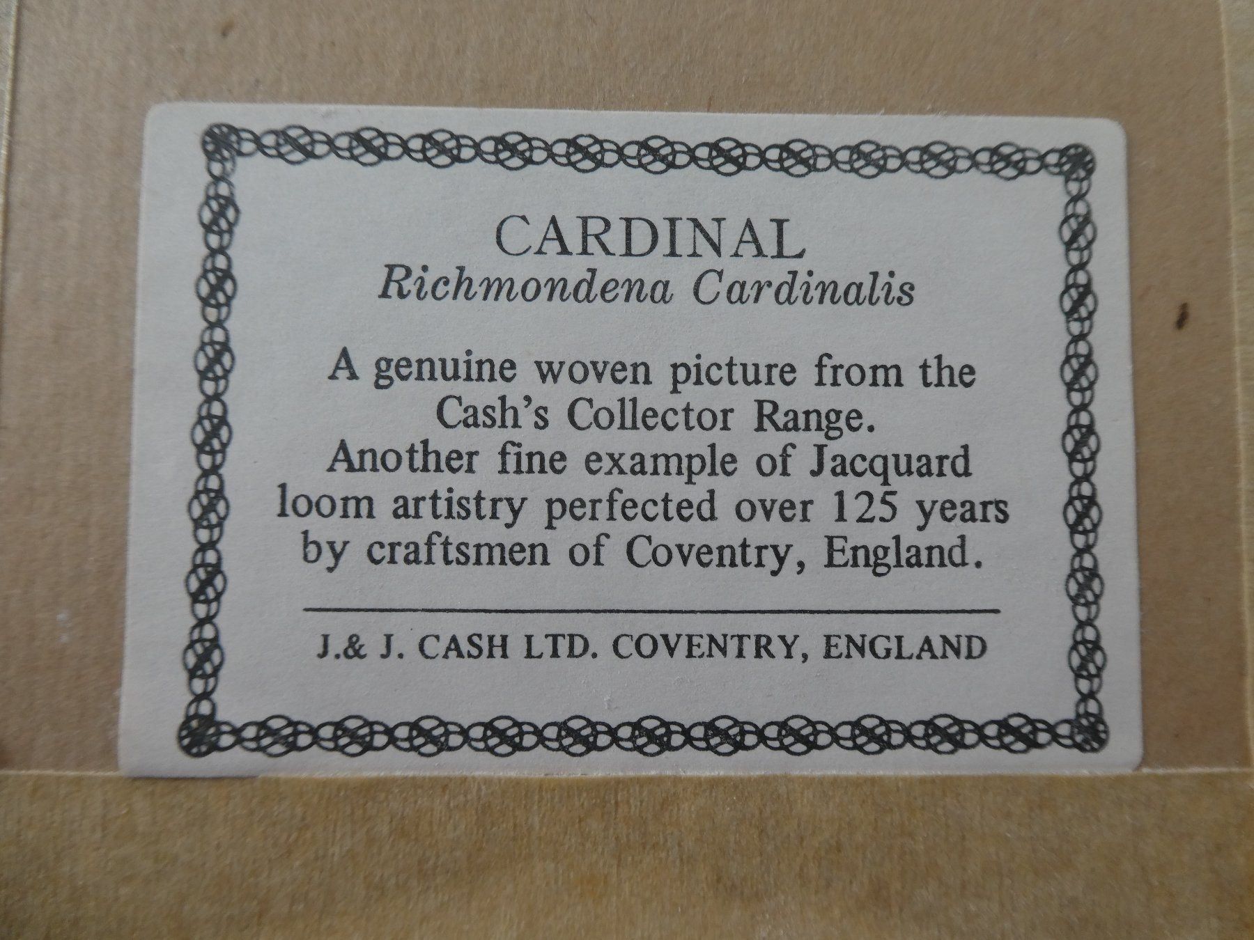 Foto & Immagini: Seiden-Bild "Cardinal-Bird" – Nuovo (secondo la descrizione) da Ehrendingen venduto da JuliaMarley 2