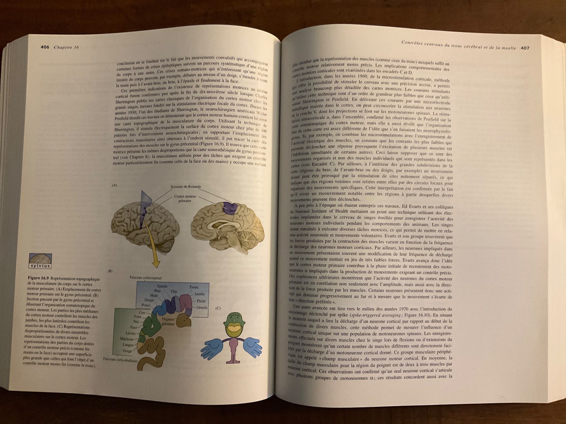 Libri: Neurosciences - Purves - 3ème édition - sans Cd – Usato da Avenches venduto da Lactobacille 4
