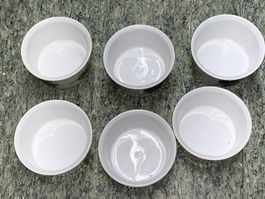 6 Förmchen Royal Worcester Fine Porcelain Evesham Porzellan