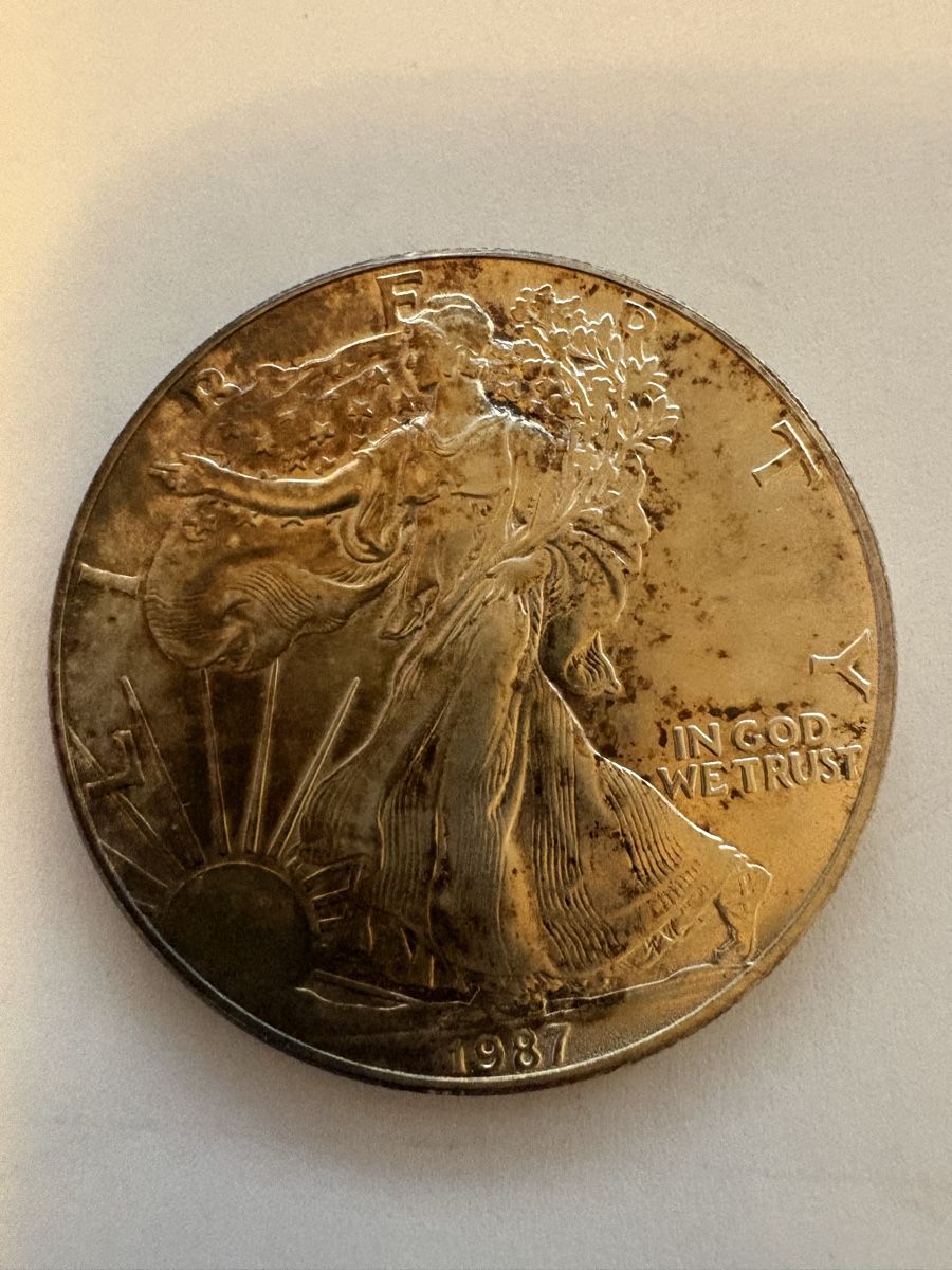 Tutti le monete: Silber Munze 1987 Liberty  – Usato da Murten venduto da Tzaugg 3