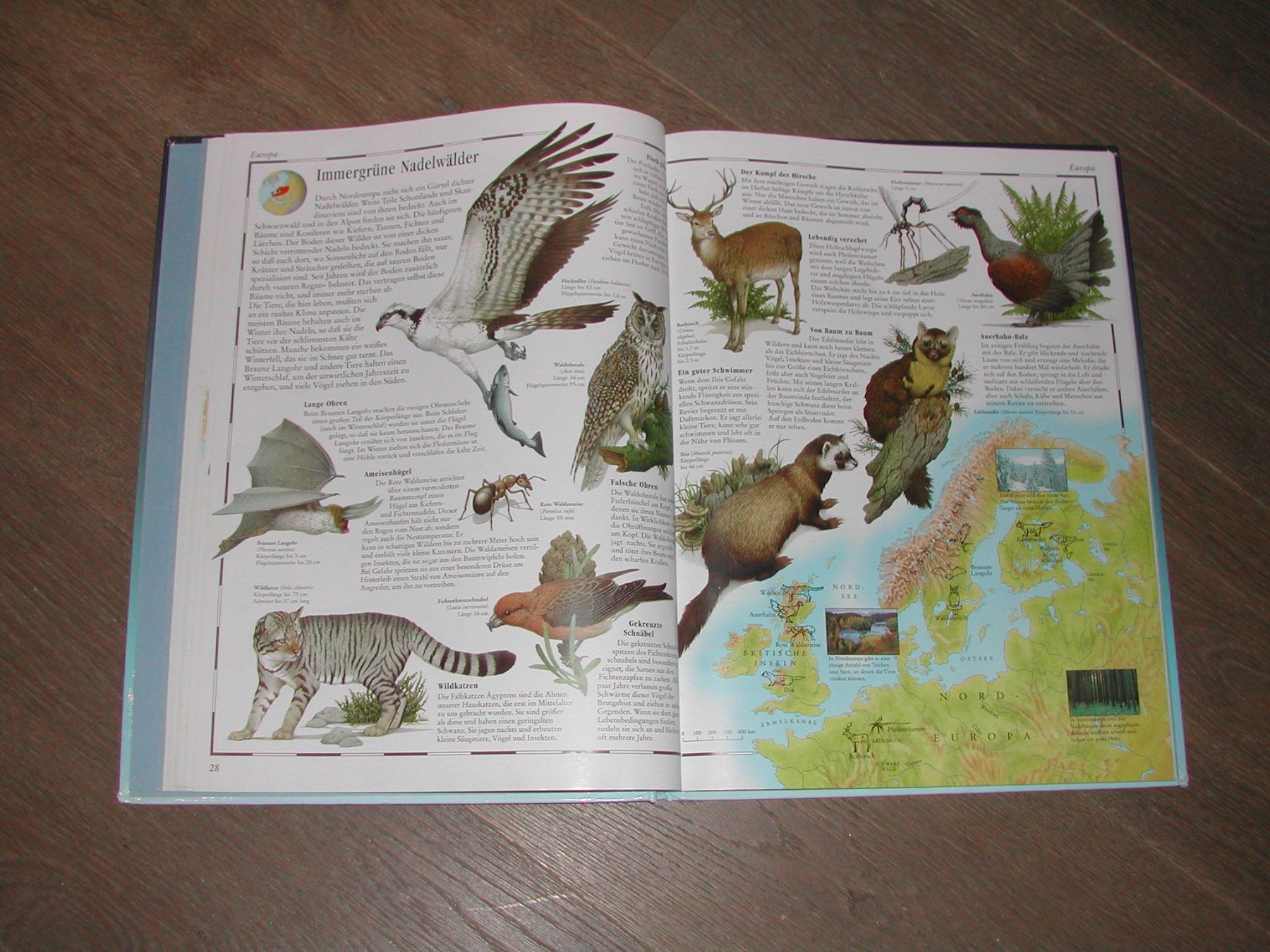 Libri: Bild Atlas der Tierwelt – Usato da Trun venduto da Romi066 5