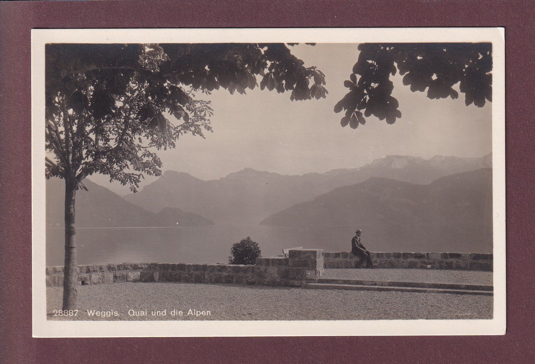 Cartoline postali: WEGGIS - Quai und Alpen - 1927 – Usato da Pully venduto da nicecards