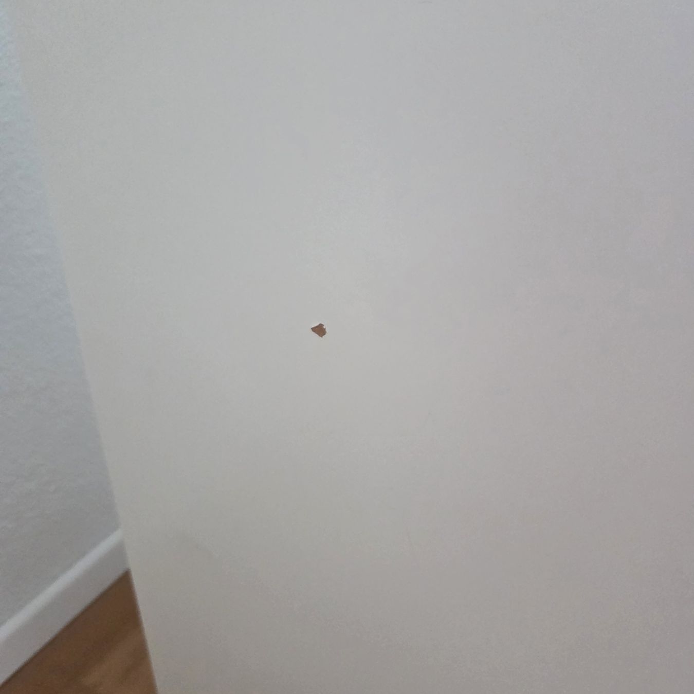 Letti: IKEA Malm Bett Schubladen – Usato da Rotkreuz venduto da Brand_new_user 3
