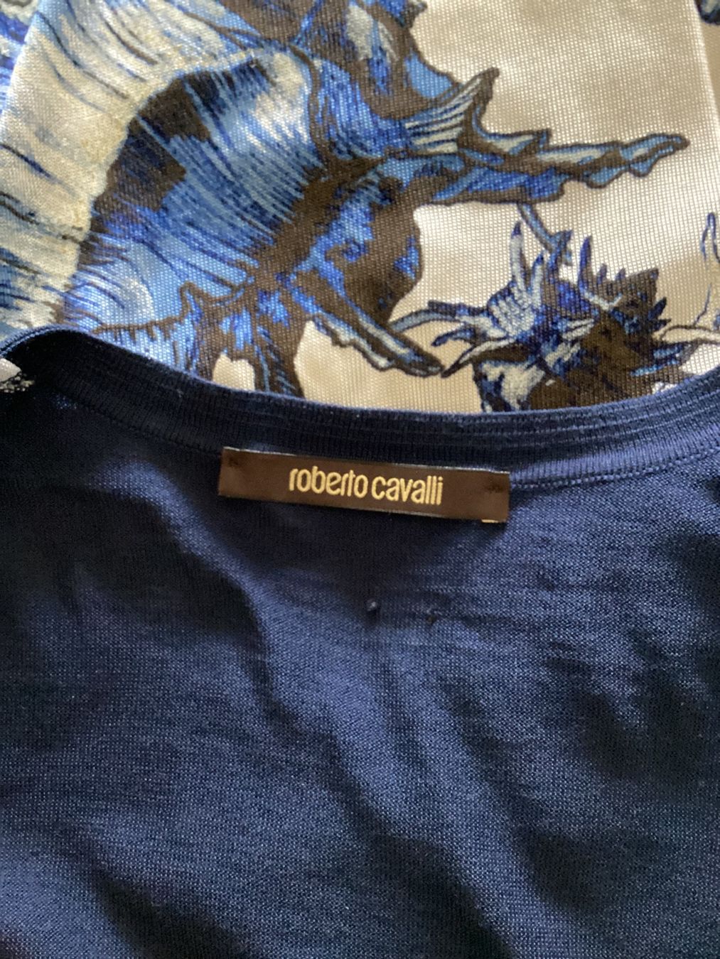 Roberto Cavalli Top: Roberto Cavalli Cardigan und Top Seide – Nuovo (secondo la descrizione) da Magadino venduto da sylvierosa 9