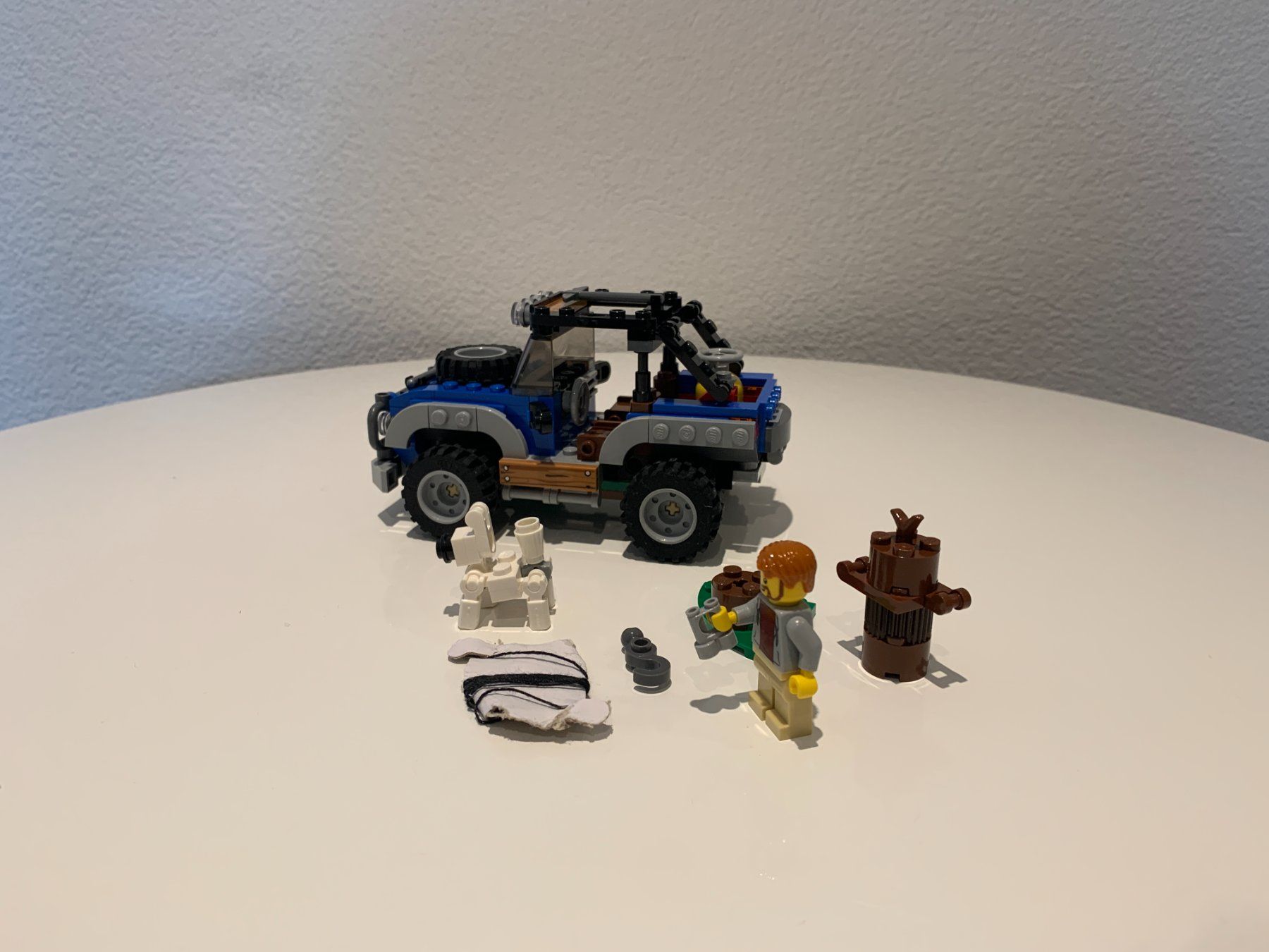 Lego Kit di costruzioni: Lego Creator 3in1 31075 Outback Abenteuer – Usato da Bürglen TG venduto da HarruunS 2