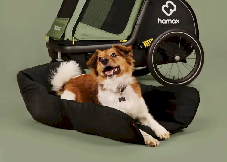 Veloanhänger: Hamax Hundebett für Pluto Anhänger L – Neu und originalverpackt aus Bottighofen von zaap 1