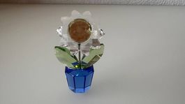 Swarovski Sonnenblume im blauen Topf im Top Zustand!