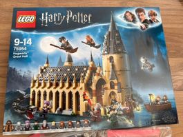LEGO Harry Potter 75954 Hogwarts Schloss Set gebraucht