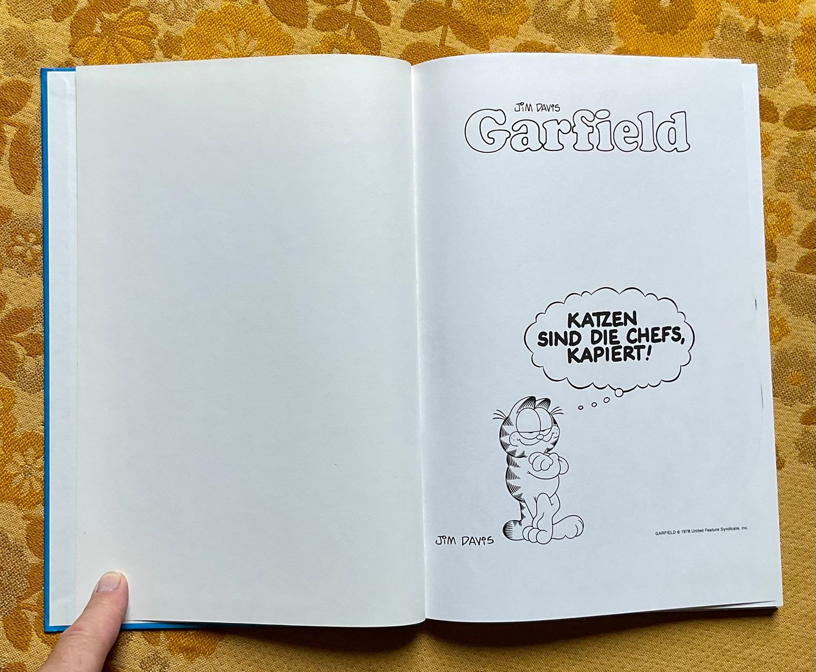 Fumetti: Die Garfield Revue von 1986 – Usato da Endingen venduto da nathan05 3