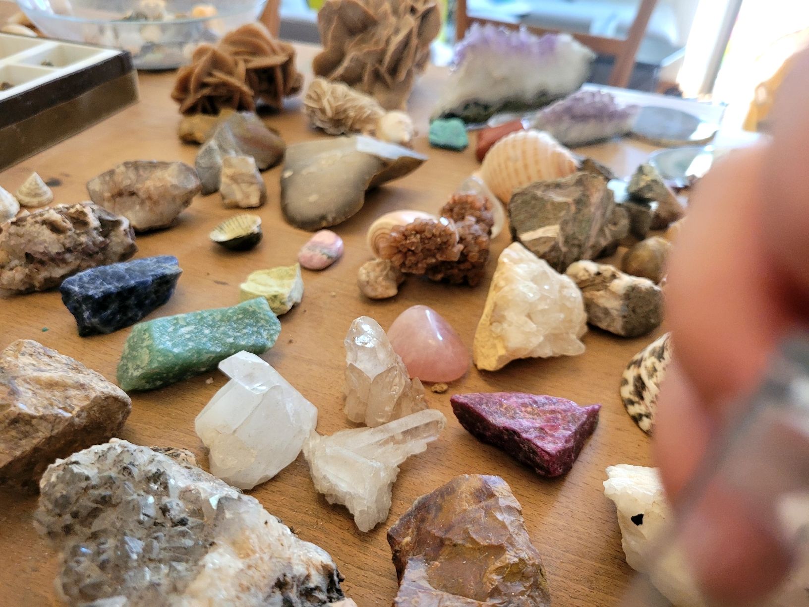 Pietre preziose: Sammlung Halbedelsteine, Ammoniten, Muscheln – Usato da Bern venduto da MoeDoe 1