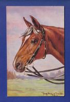 CHEVAL