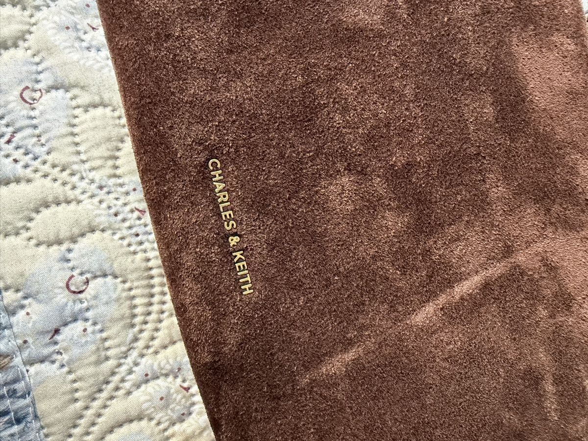 Taschen für Damen: Sac Charles & Keith – Gebraucht aus Nyon von lio_5n8l 3