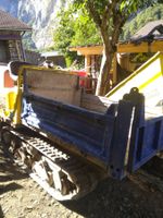 Raupendumper Menzi 15