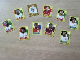 Stickers panini 