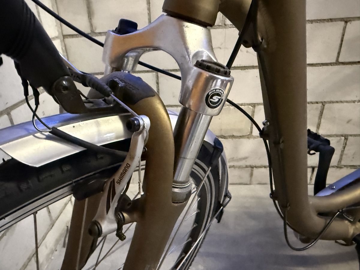 Biciclette: Damenvelo – Nuovo (secondo la descrizione) da Dänikon ZH venduto da Ricci1977 4