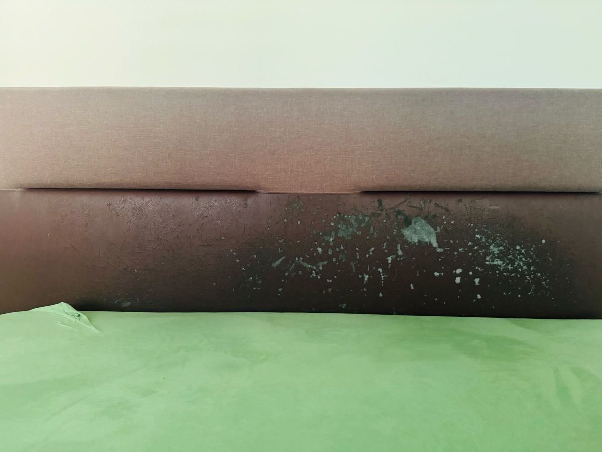 Tempur Betten: Tempur Boxspring Bett – Gebraucht aus Dürnten von man_98rc 1