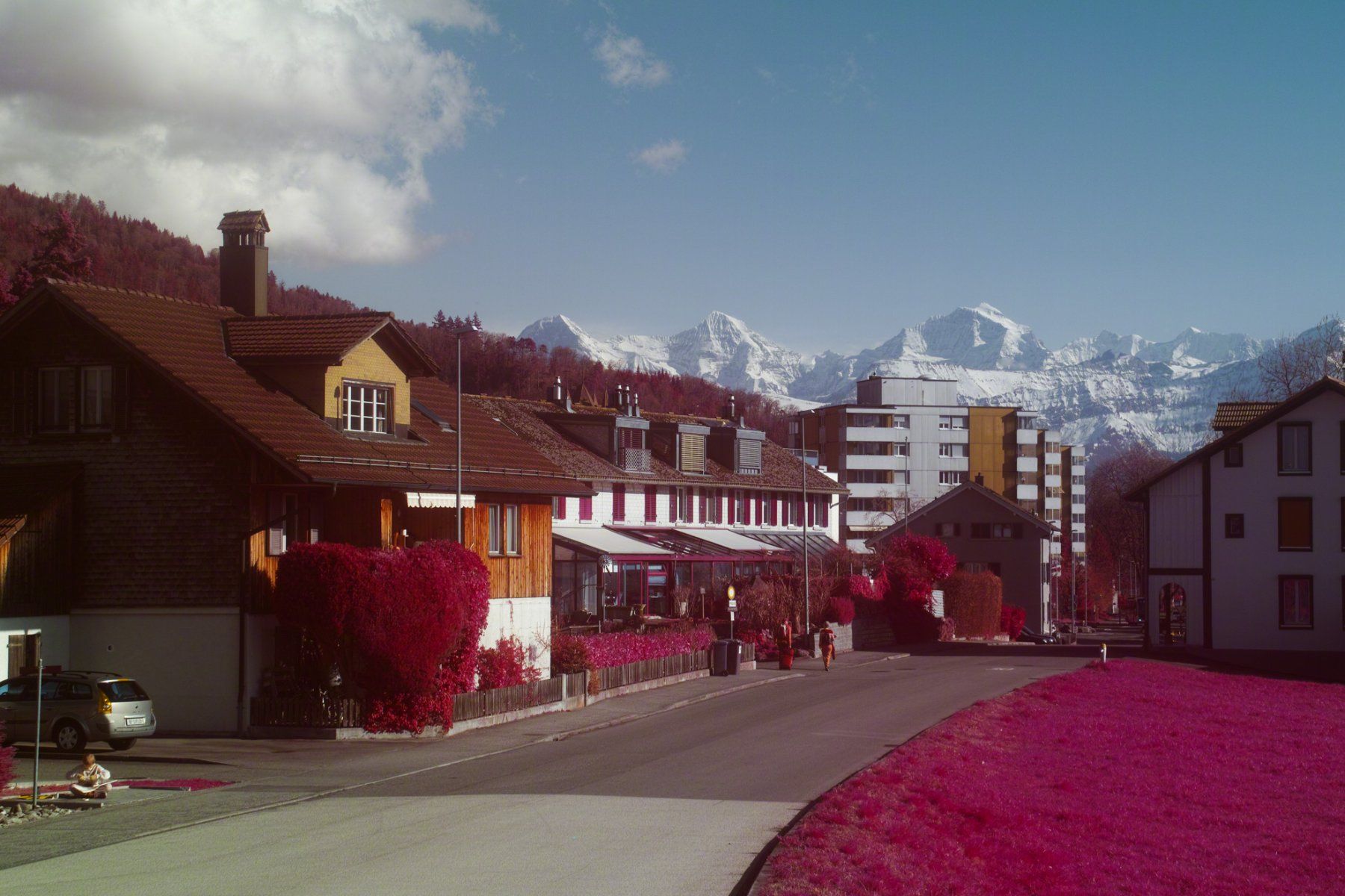 Sigma Fotocamera: Aerochrome Infrared Sigma SD1 Komplett – Usato da Thun venduto da HiddenRealmsCH 5