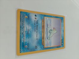 Seel