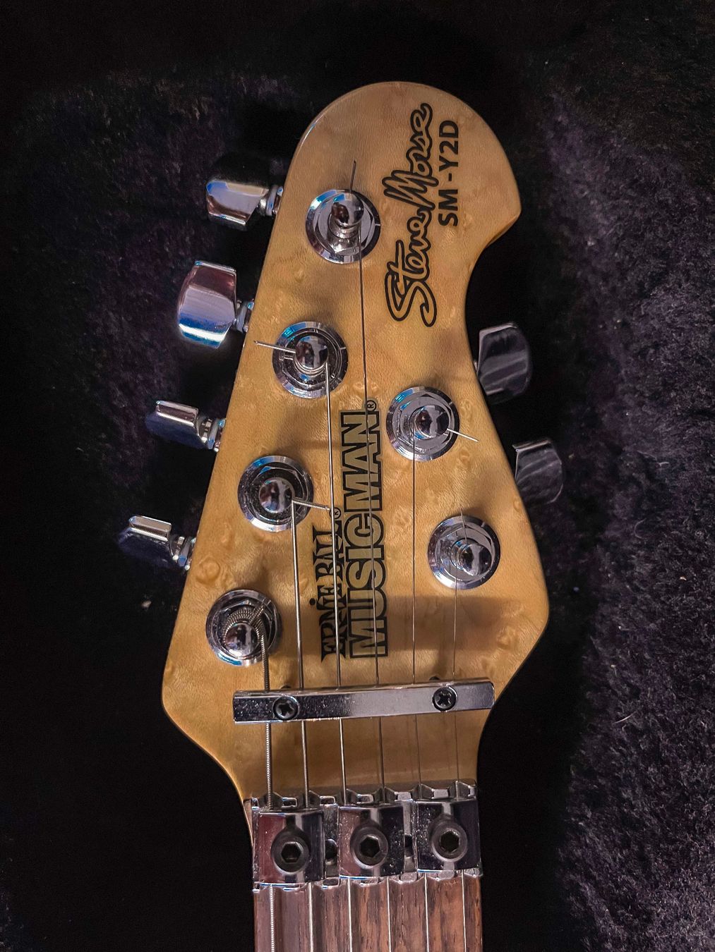 Music Man Strumenti musicali: Music Man Steve Morse Y2D – Usato da Nidau venduto da Hal_Sevenrock 3