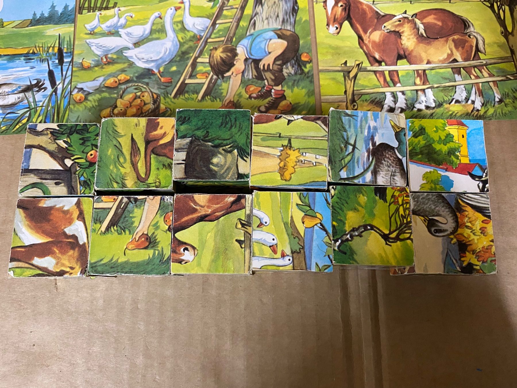 Giochi: Bilderwürfel 4x3 – Usato da Eschlikon TG venduto da RamonaSt 8