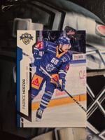 Fabrice Herzog EV Zug Sportzoo 2024/25