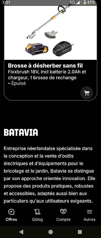 Tutti gli attrezzi: Batavia brosse désherbage et mousse – Usato da Bussigny venduto da RicardoShop 2