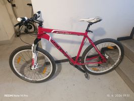 herren velo