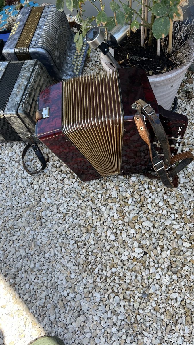 Hohner Instruments de musique: Hohner Diatonisch – D'occasion à Rothrist par Tessin1973 5